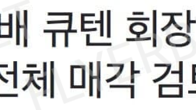 구영배 큐텐회장 지분전체 매각검토